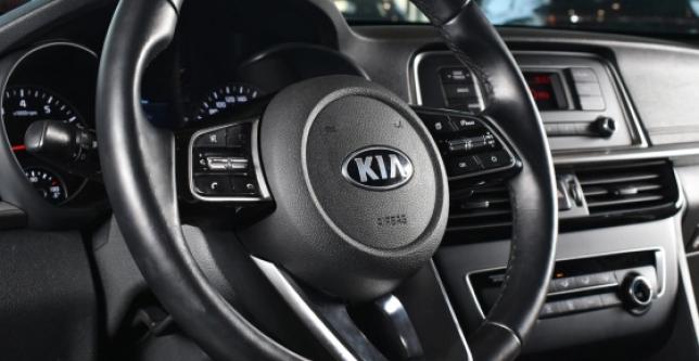 фото 698365-17 - Optima