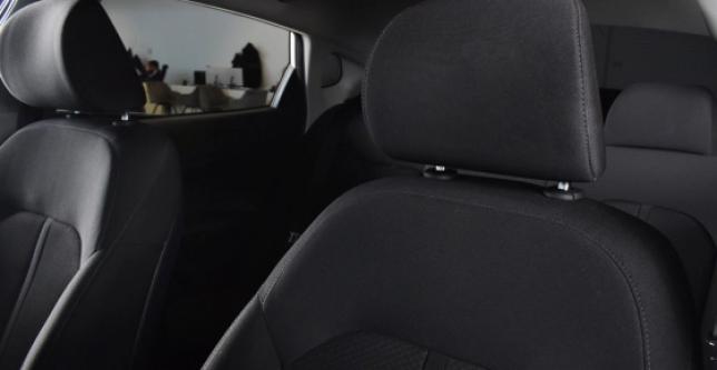 фото 700991-15 - Optima